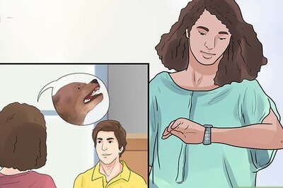 How to Deal With a Neighbor's Barking Dog