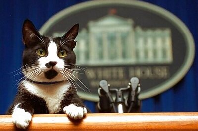 Election 2020 Today: Biden's Economic Team, Emanuel Weighed