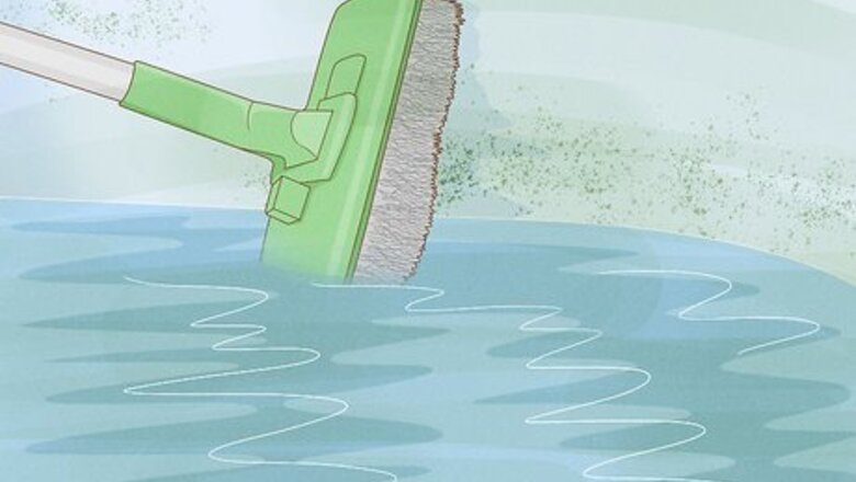 Quick & Effective Ways to Get Rid of Algae in Your Pool