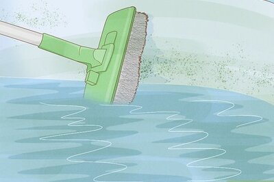 Quick & Effective Ways to Get Rid of Algae in Your Pool