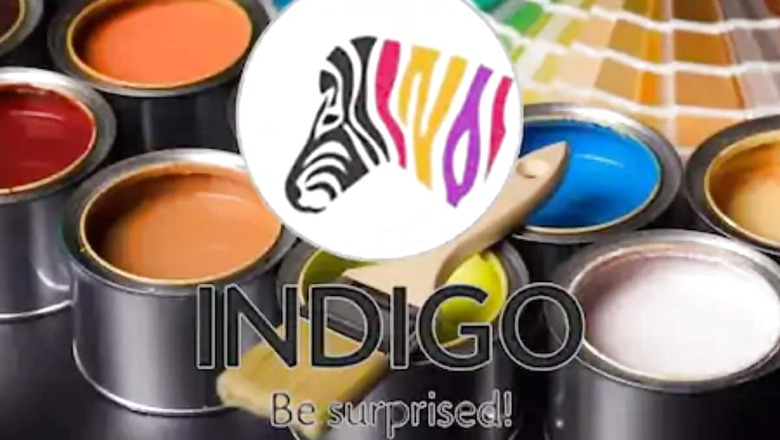 Indigo Paints IPO Opens Today: All You Need to Know