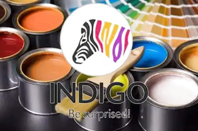 Indigo Paints IPO Opens Today: All You Need to Know