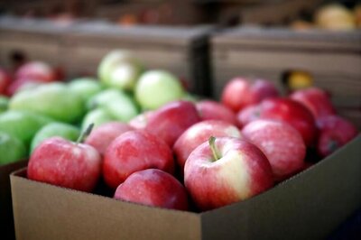 Apples, Almonds, Walnuts to Get Costlier from Next Week as India Slaps Retaliatory Tariffs on US Goods