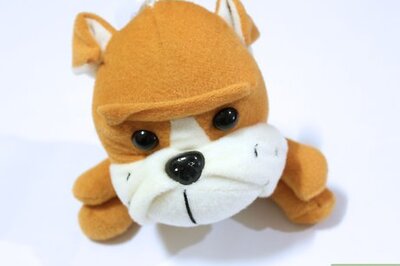 How to Love Your Stuffed Dog