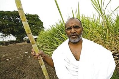 Forbes India: Gujarat shows way to green revolution