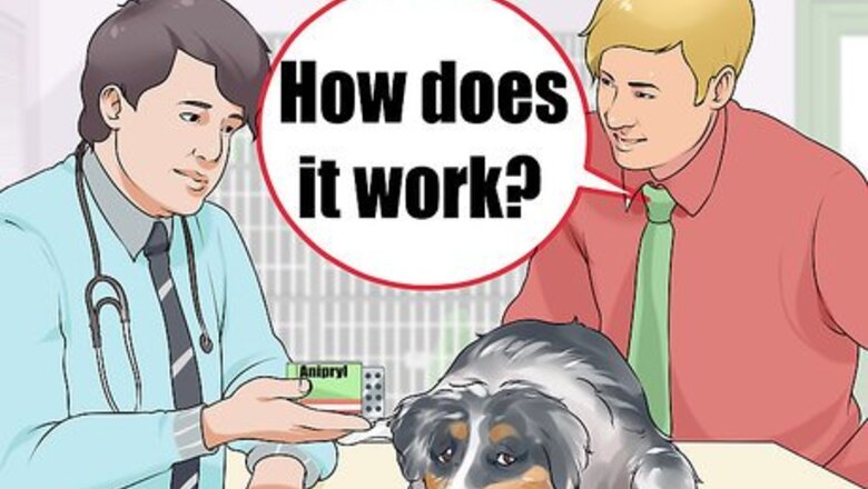 How to Treat Dog Dementia with Anipryl