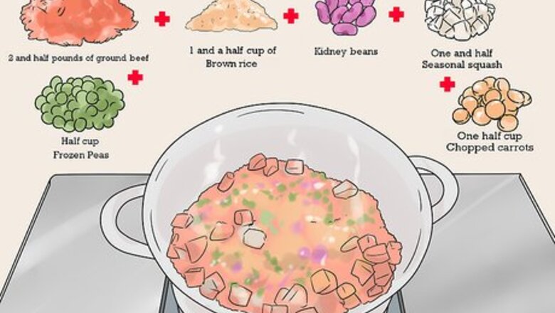 How to Feed Your Dog Naturally