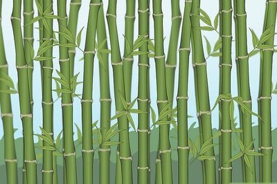 How to Cure Bamboo
