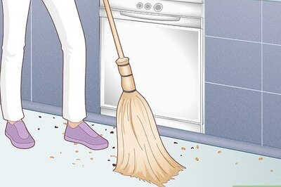 How to Prevent Ants in the Kitchen