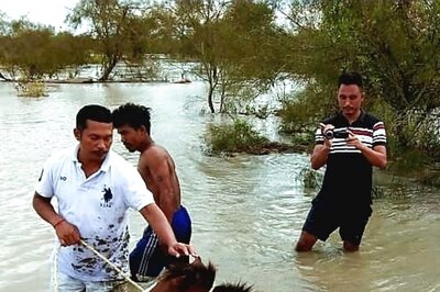 Assam Floods: Why the State Gets Ravaged Every year and Who is Responsible for it