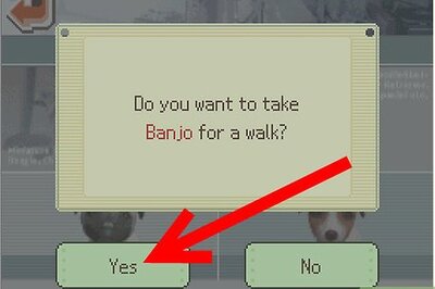 How to Not Wait to Go for Walks on Nintendogs