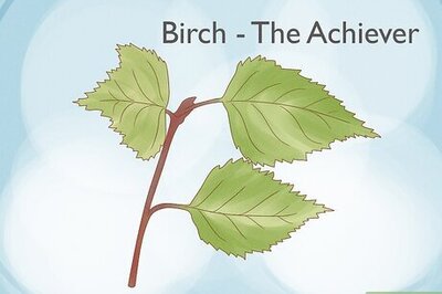 What Your Celtic Zodiac Sign Says about You