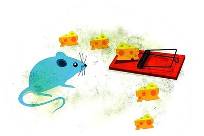 Know what to avoid while investing