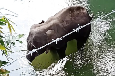 'Justice Will Prevail': Kerala CM Says Police & Forest Dept's Probe into Elephant's Death Focusing on 3 Suspects