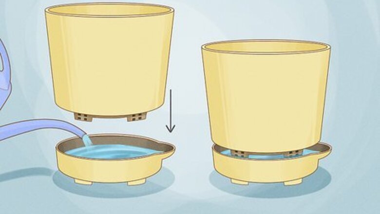 Self-Watering Planters: How to Use Them & How They Work