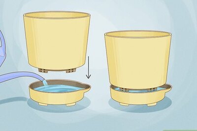 Self-Watering Planters: How to Use Them & How They Work
