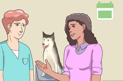 How to Monitor the Stages of Labor in Dogs