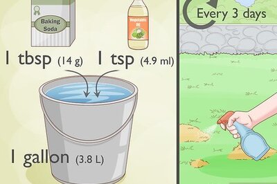 How to Treat Lawn Fungus Naturally