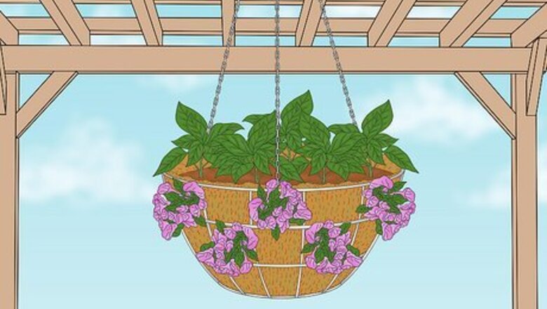 How to Make a Moss Hanging Basket