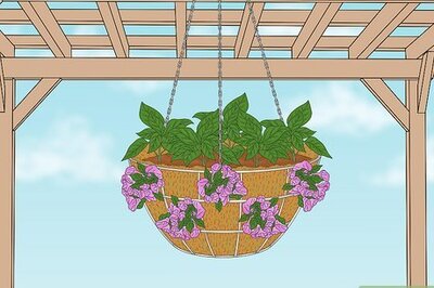How to Make a Moss Hanging Basket