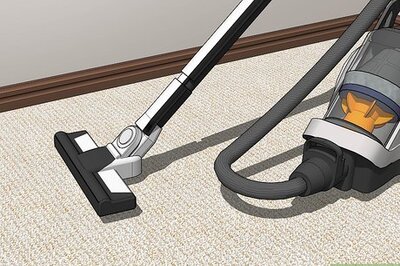 How to Get Rid of Fleas in the House Forever