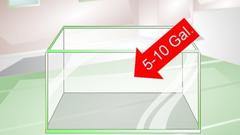 How to Provide a Protective Breeding Environment for Betta Fish