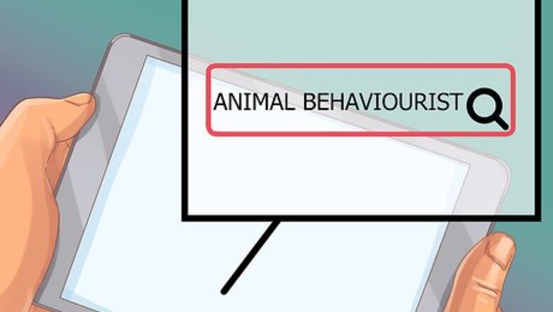 How to Find a Pet Behaviorist for Your Cat