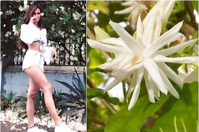 Disha Patani Shows off Her Photography Skills as She Captures Nature in These Stunning Pics