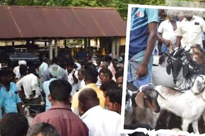 Why This Goat Market In Coimbatore Is Famous Among Traders