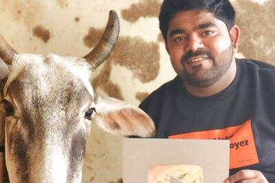 Accused in Murder Case of Two Rajasthan Men, Monu Manesar is a Prominent Face of Cow Vigilantism in Haryana