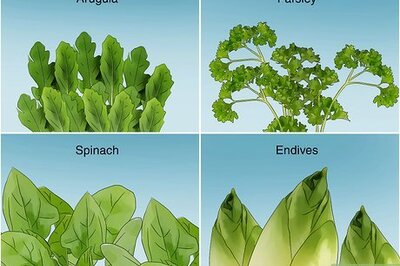 How to Grow Vegetables in Winter