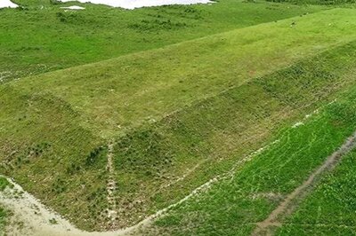 Assam Flood: 40 Highlands Built to Shelter Animals in Kaziranga, Other Wildlife Sanctuaries