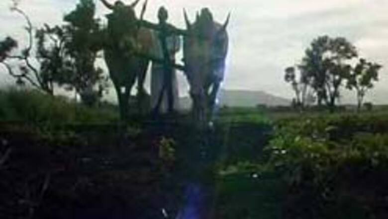 Will-Pawar solution to farmer suicides