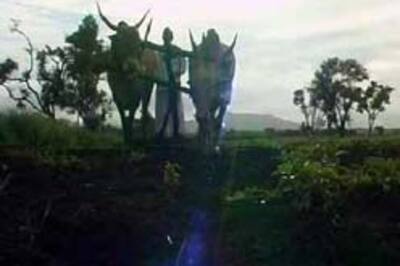 Will-Pawar solution to farmer suicides