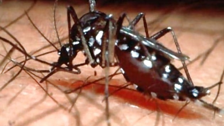 Over 30 dengue cases reported in Bihar