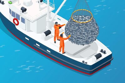 International Day Against Illegal Fishing 2022: All You Need To Know