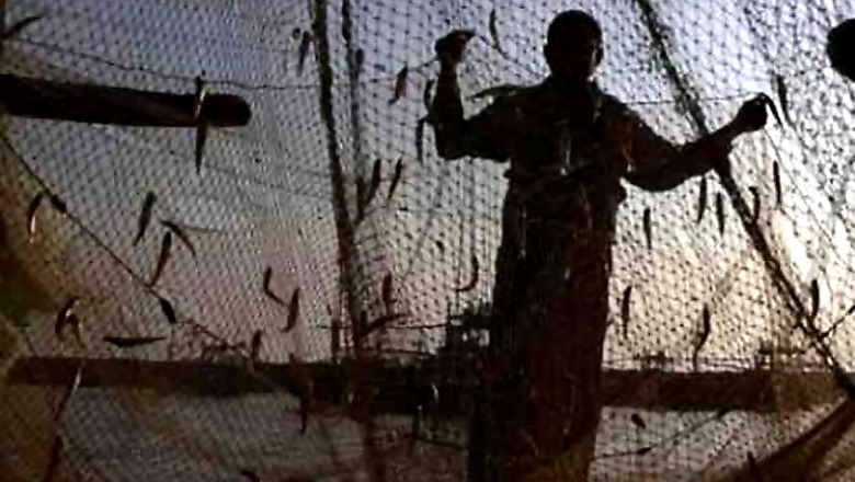 Rise in Plastic Trash in Nets Giving Goa Fishermen a Hard Time