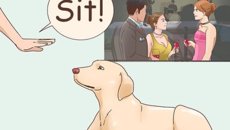 How to Survive the Holidays with Your Dog