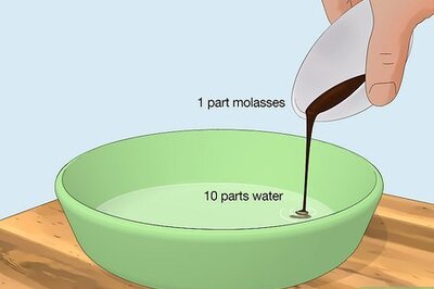 The Best Ways to Get Rid of Crickets Inside and Outside Your Home