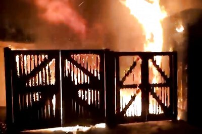 Aardvark Dies in Blaze at London Zoo, Meerkats Missing