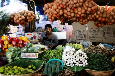 Wholesale prices fall 2.4% in June