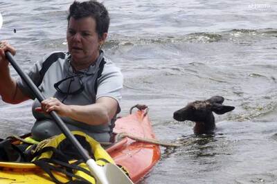 Australia's flood chaos continues
