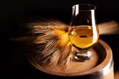 RYE Whisky Demystified: A Beginner's Guide for Indian Whisky Enthusiasts