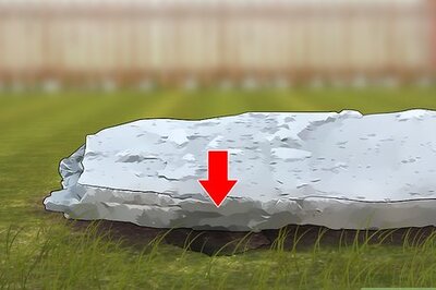 How to Fill Chipmunk Holes