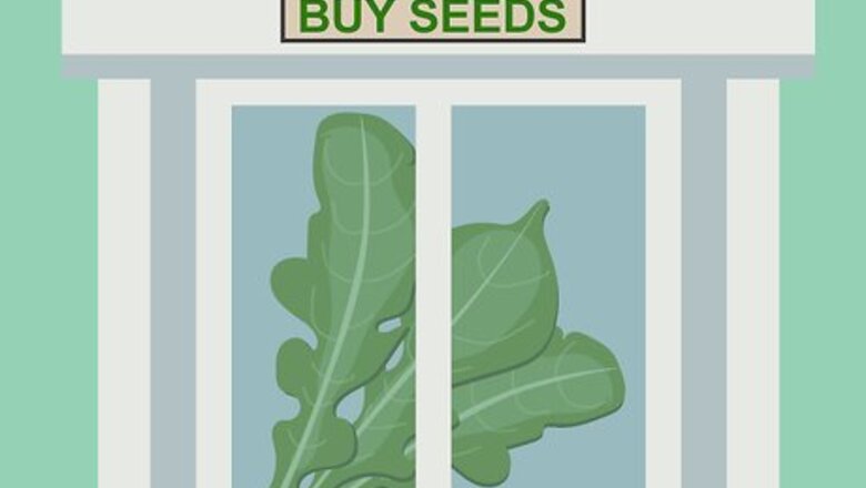 How to Plant Arugula