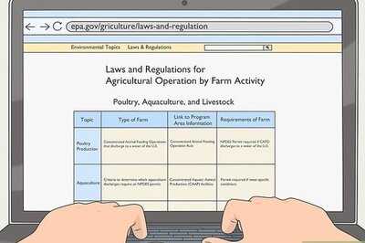 How to Raise Meat Chickens