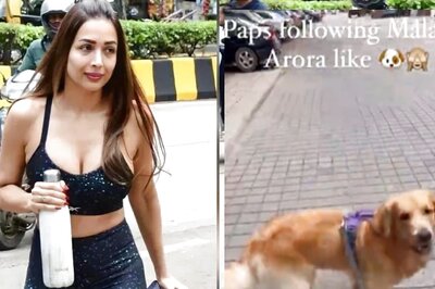 Malaika Arora Reacts to Viral Instagram Video of 'Cute' Dog Teasing Paparazzi Like Her, Watch