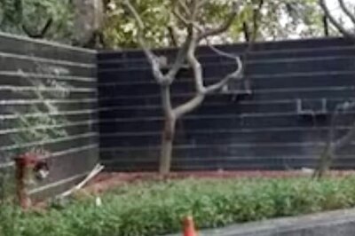 Optical Illusion: Spot The Hidden Crow In 10 Seconds