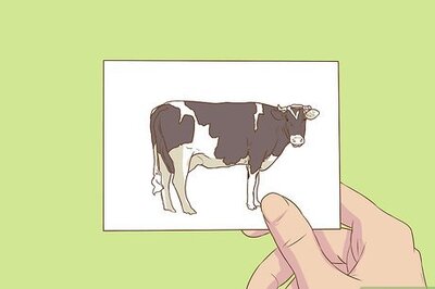 How to Go Vegetarian Without Going Hungry