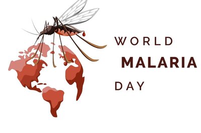 World Malaria Day 2022: Countries and Indian States That Are Malaria Free